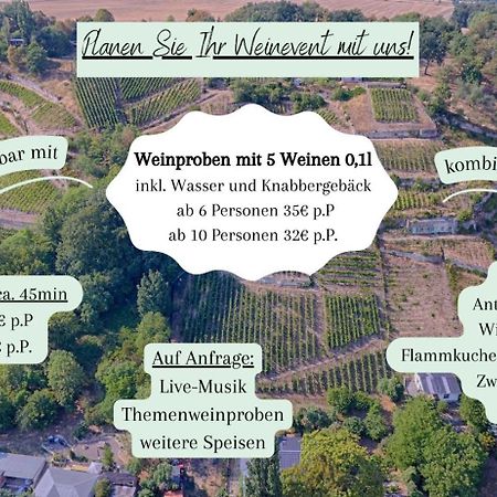 Ferienhaus Traminer Im Weinberg Freyburg Eksteriør bilde