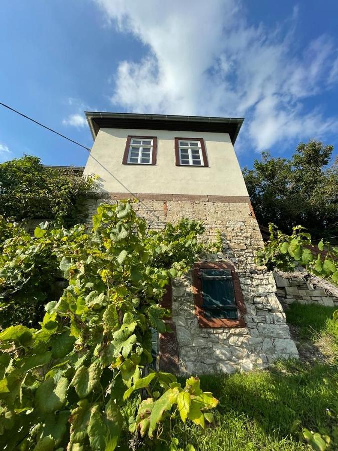 Ferienhaus Traminer Im Weinberg Freyburg Eksteriør bilde