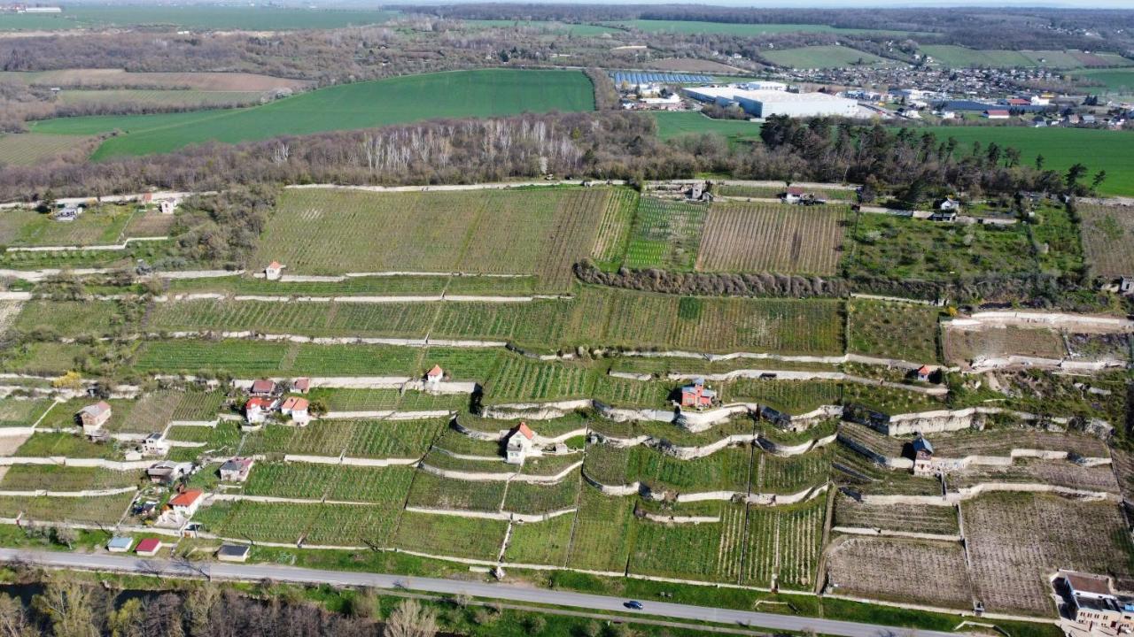 Ferienhaus Traminer Im Weinberg Freyburg Eksteriør bilde