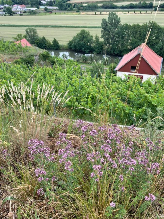 Ferienhaus Traminer Im Weinberg Freyburg Eksteriør bilde