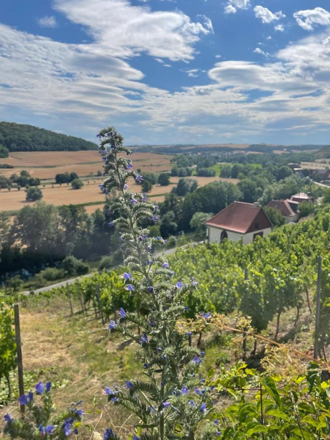 Ferienhaus Traminer Im Weinberg Freyburg Eksteriør bilde