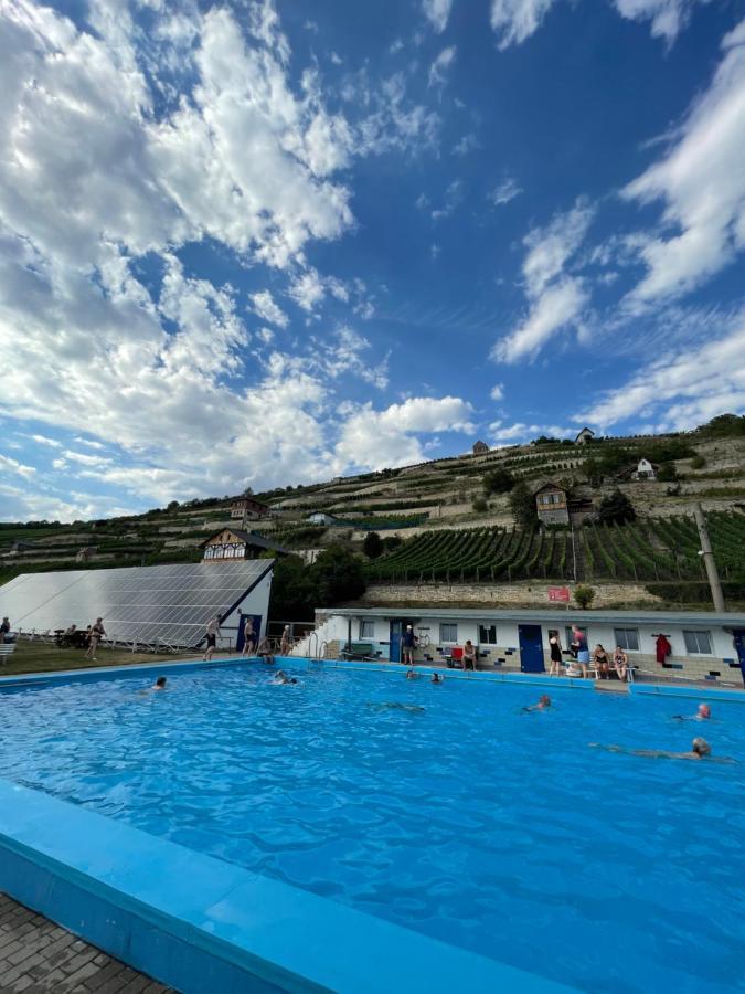 Ferienhaus Traminer Im Weinberg Freyburg Eksteriør bilde